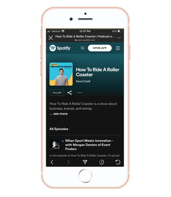 How To Ride A Roller Coaster with David Ezell podcast